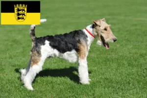 Read more about the article Fox Terrier opdrættere og hvalpe i Baden-Württemberg