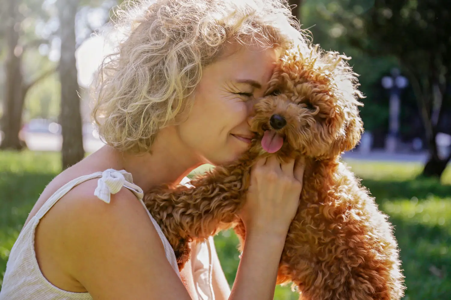 At købe en Maltipoo-hvalp betyder at tage ansvar! Køb Maltipoo-hvalpe.